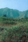 montagne1.jpg (31542 octets)